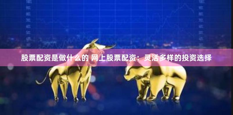 股票配资是做什么的 网上股票配资：灵活多样的投资选择