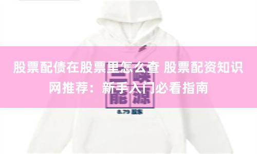 股票配债在股票里怎么查 股票配资知识网推荐：新手入门必看指南